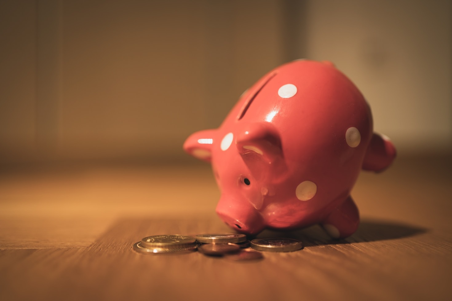 Educação Financeira Básica: O Que Você Precisa Saber